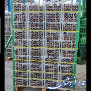 کیوی تازه و ترد