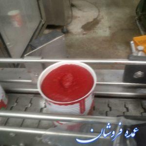 رب گوجه‌فرنگی نیوتک بریکس 27
