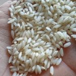 برنج عنبربو بشرط خالص