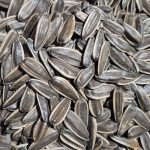 تخمه آفتابگردان ایرانی (محصول خوی)