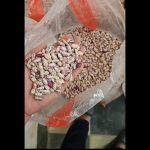 حبوبات نخود و لوبیا