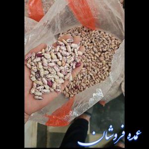 حبوبات نخود و لوبیا