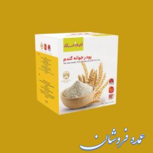 پودر جوانه گندم