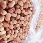 خرما زاهدی صادراتی