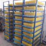 تولید و عرضه ی مستقیم نبات