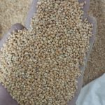 ارزن درشت خارجی