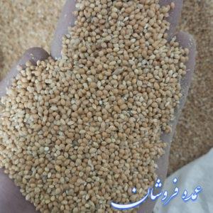 ارزن درشت خارجی