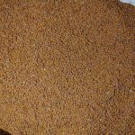 قدومه شیرازی