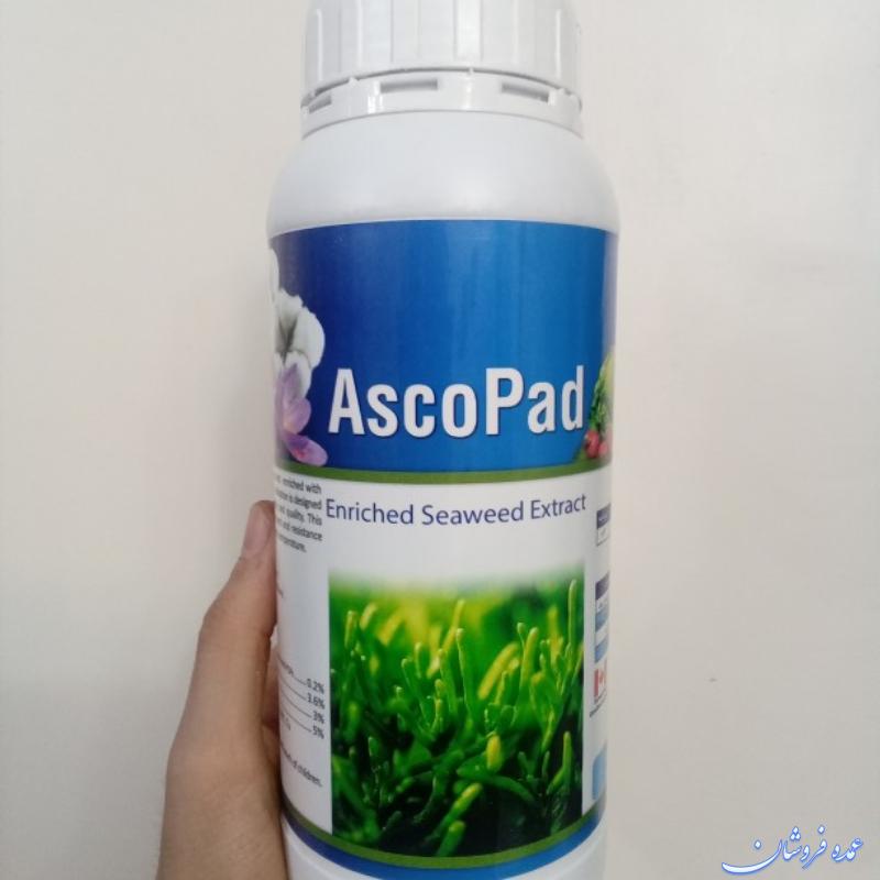 کود جلبک دریایی