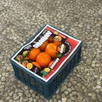 پرتقال تامسون