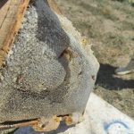 فروش عمده انواع عسل های طبیعی و ژل رویال