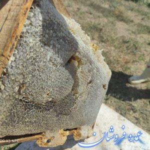 فروش عمده انواع عسل های طبیعی و ژل رویال