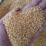 ارزن درشت خارجی