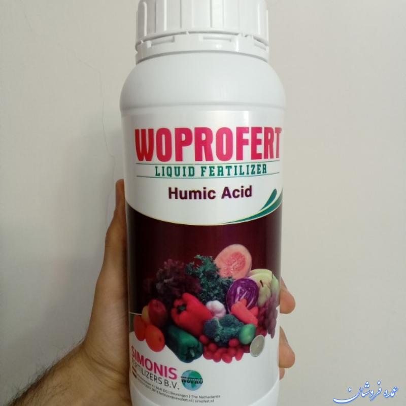 کود اسید هیومیک