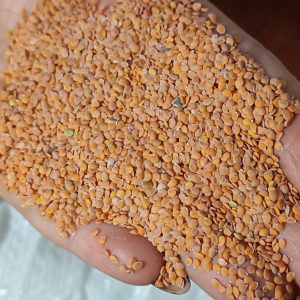 قدومه شیرازی