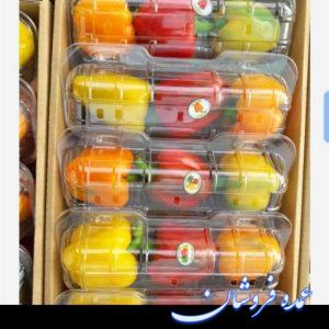 پک فلفل دلمه مخصوص صادرات