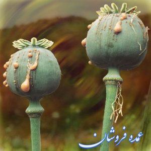 پک ترک اعتیاد