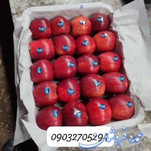 سیب ‌درجه‌یک مخصوص صادرات ‌
