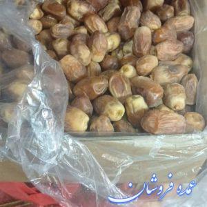 خرما زاهدی پشت کوه