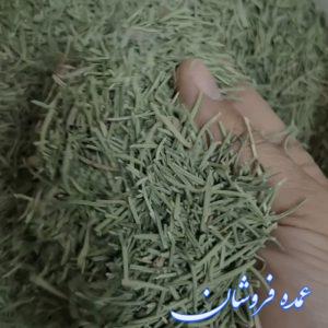 رزماری