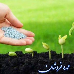 کود/مناسب برای خاک شور/مناسب برای تقویت گیاه/