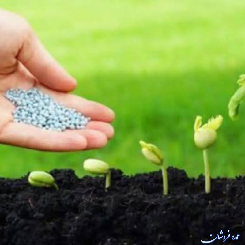 کود/مناسب برای خاک شور/مناسب برای تقویت گیاه/
