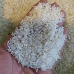 برنج پاکستان(تایلندی) تحویل بندر و همدان