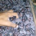 خرمای مضافتی