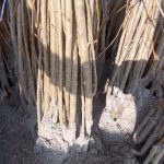 نهالستان تک نهال میاندواب