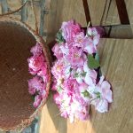 عرقیات ارگانیک و سنتی