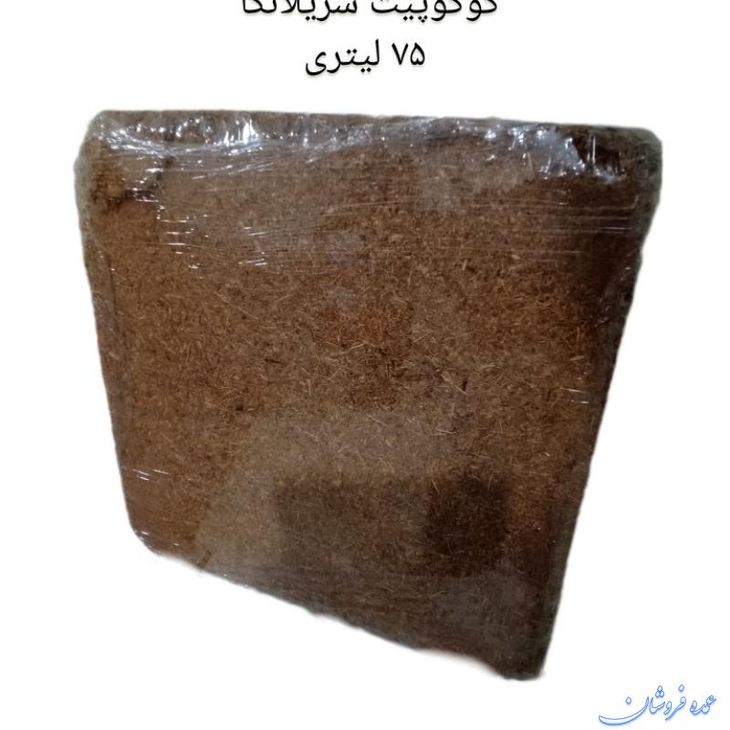 کوکوپیت سریلانکا