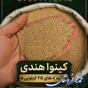 تأمین مستقیم و فروش عمده دانه کینوا (ایرانی و هندی و پرو)