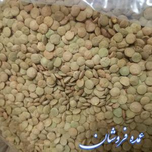 عدس سبز کانادایی درشت