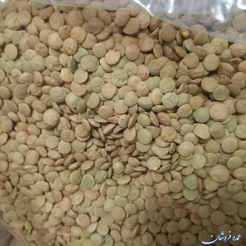عدس سبز کانادایی درشت