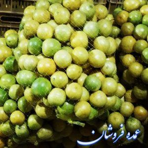 لیمو ترش تازه
