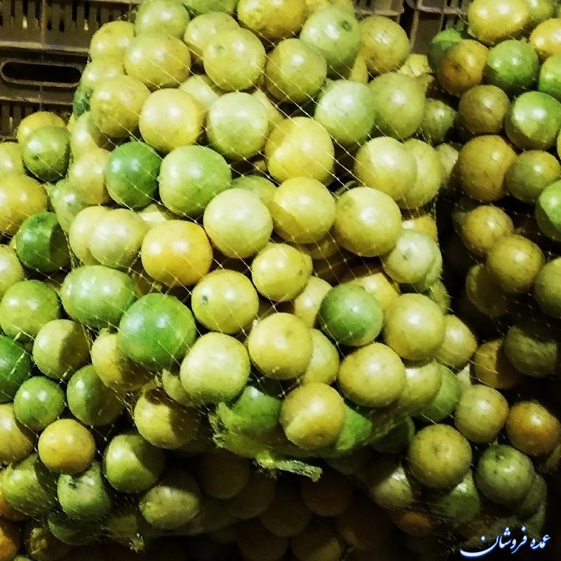 لیمو ترش تازه