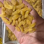 فروش انواع کشمش و مویز