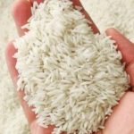 برنج هاشمی  فریدونکنار  درجه  یک