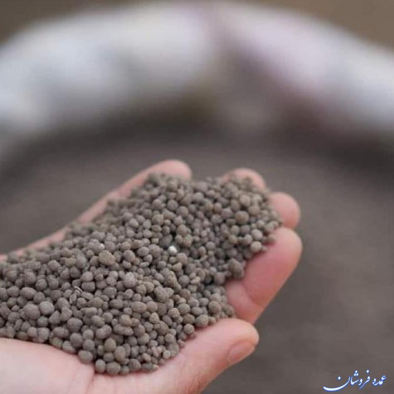 کود فسفر بالا چالکود
