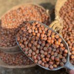 آجیل و خشکبار بدون واسطه