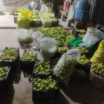 سیب درختی تازه کلی