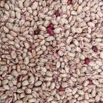 لوبیا چیتی و باقالی