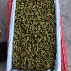 انواع کشمش