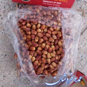 استان فارس