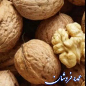 فروش گردو  درجه۱ لرستان