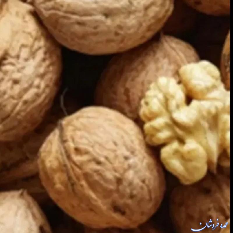 فروش گردو  درجه۱ لرستان