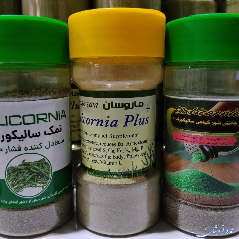 نمک گیاهی سالیکورنیا