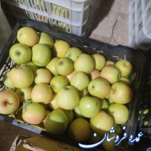سیب درختی تازه کلی