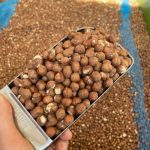 آجیل و خشکبار بدون واسطه